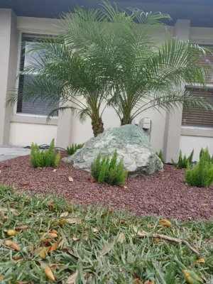 Caterpillar Landscaping, LLC - Outdoor Lighting Installation in Orlando, FL