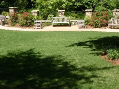 Classey Landscape and Irrigation - Landscape Maintenance in Canton, GA