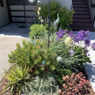 DAC Landscape SF - Tree & Shrub Care in San Francisco, CA