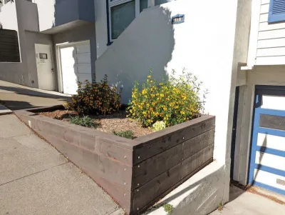 DAC Landscape SF - Tree & Shrub Care in San Francisco, CA