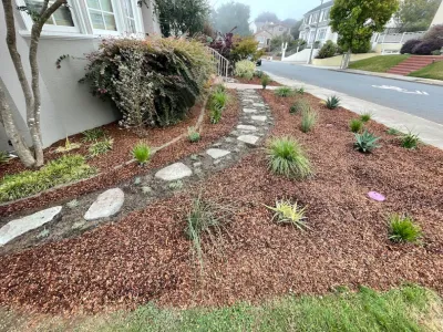 DAC Landscape SF - Tree & Shrub Care in San Francisco, CA