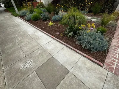 DAC Landscape SF - Tree & Shrub Care in San Francisco, CA