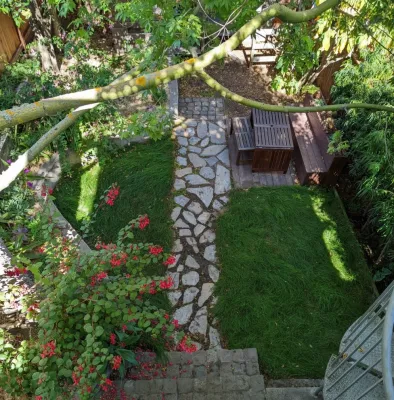 DAC Landscape SF - Tree & Shrub Care in San Francisco, CA