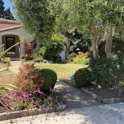 DAC Landscape SF - Tree & Shrub Care in San Francisco, CA