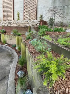 DAC Landscape SF - Tree & Shrub Care in San Francisco, CA