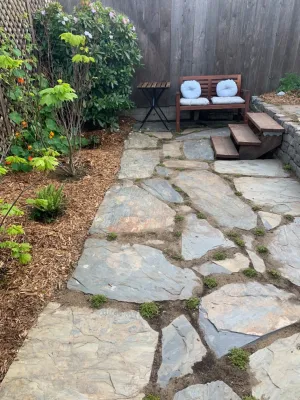 DAC Landscape SF - Tree & Shrub Care in San Francisco, CA