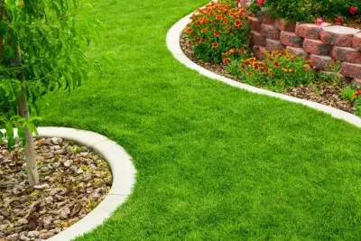 Sergio's Landscape Corp - Tree & Shrub Care in Redlands, CA