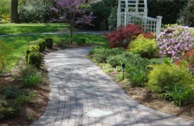 Enviroscapes Inc - Landscape Construction in Surprise, AZ