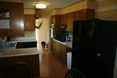 Re-Modern Homes Inc/All Aspects Tile and Carpentry - Roofing & Gutter Services in Shelburne, VT
