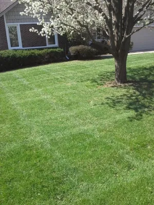 SK Lawn Care - Lawn Aeration in Kansas City, MO