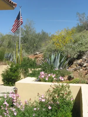French Accent Landscaping, Inc. - Landscape Construction in Cave Creek, AZ