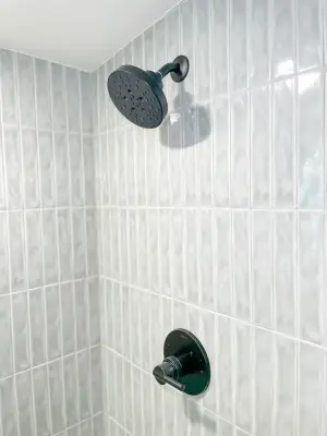 Riverland Terrace Bathroom Renovation — Home Renovation & Remodeling Services project by Canter Construction