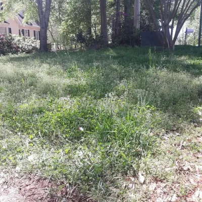 Full Throttle Landscaping - Landscape Construction in Cartersville, GA