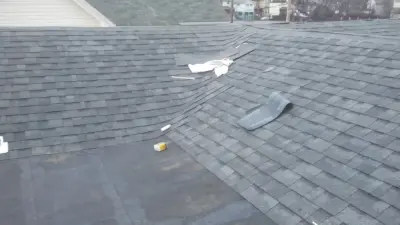 Comprehensive Roof System with Low Slope Torch Down and Chimney Removal — Home Renovation & Remodeling Services project by C A Geiser Construction PA#161282