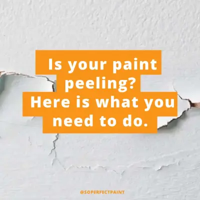 Southern Perfection Painting Inc. - House Painting Services in Grayson, GA