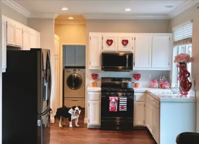 Pro Performance Painting - Interior Design & Decorating in Chula Vista, CA