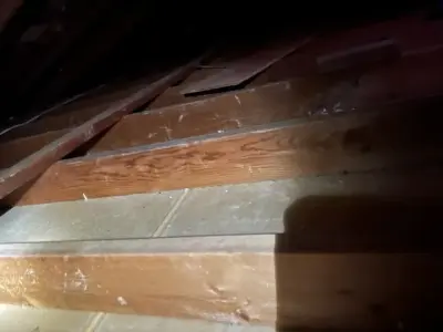 The Attic Specialist - House Painting Services in Tarzana, CA