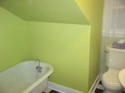 Attic Moisture Repair and Restoration — House Painting Services project by Sweet Success Contractors Inc.