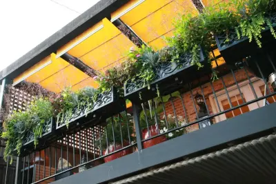 Urban Lot Transformed into Luxury Space — House Painting Services project by Paint The Town Red - Color Consulting