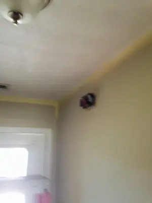 Atd Painting and Drywall Repair Specialists - House Painting Services in Searcy, AR