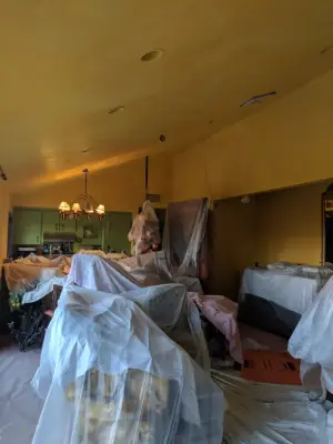 Sarah Paints Everything - Interior Design & Decorating in Kenwood, CA