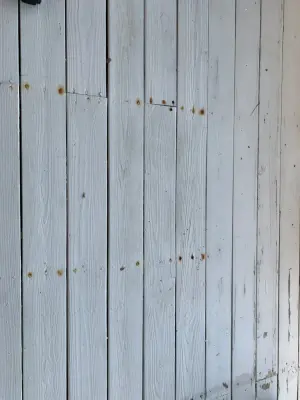 Deck Restoration and Staining — House Painting Services project by Paint Works Pro