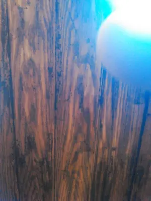 Brushworks of Rye Inc - House Painting Services in Rye, NY