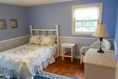 Alison Alfredson Color & Design - Professional Home Organizers in Lansing, MI