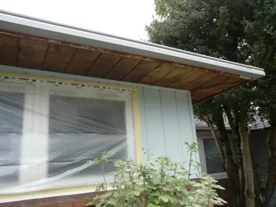 Real Fresh Painting - House Painting Services in Tampa, FL