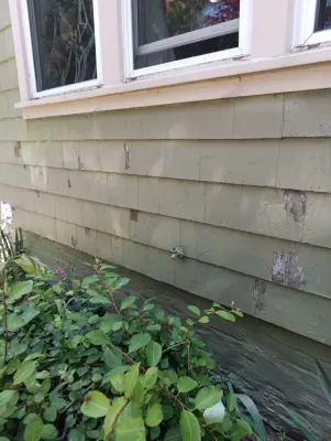 Residential Exterior Painting — House Painting Services project by Magical Maintenance Services