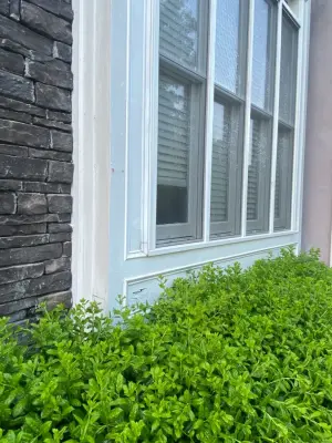 LIME Painting of Atlanta - House Painting Services in Buford, GA