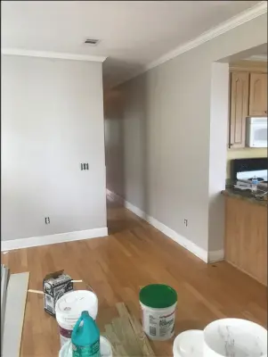 Br pro painting inc - Interior Design & Decorating in Metairie, LA