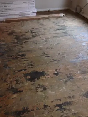 Little River Painting LLC - House Painting Services in Richmond, VA