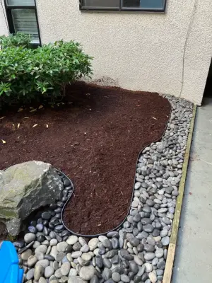 Marquense Landscaping & Remodeling - Tree Planting & Transplanting in Seattle, WA