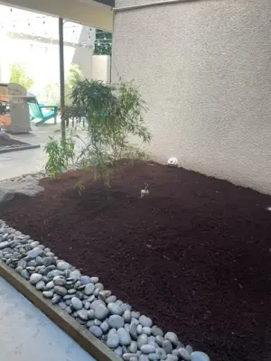 Marquense Landscaping & Remodeling - Tree Planting & Transplanting in Seattle, WA
