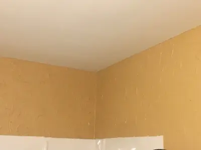 In A Rush To Brush - House Painting Services in Peoria, IL
