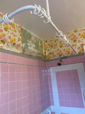 DeSay Contracting - House Painting Services in Buffalo, NY