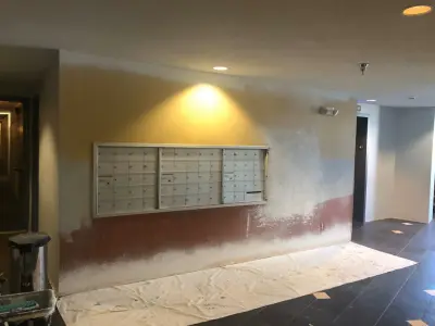 Wildscorpion Painting Services LLC - Flooring Installation Services in Brooklyn Center, MN
