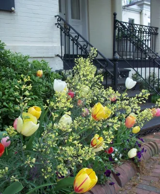 Gardens Remembered, LLC - Landscape Construction in Gaithersburg, MD