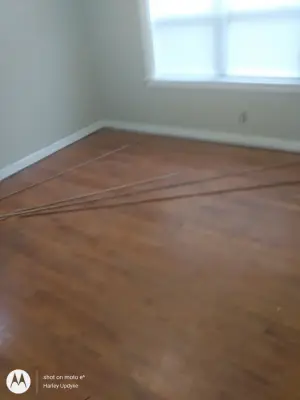 Cut IT Out - Interior Design & Decorating in Albany, GA