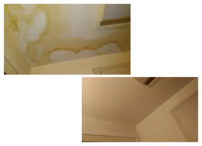 JoJo & TT Paints - Handyman Services in Batesville, AR