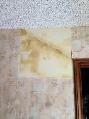 Painting by Victor - Interior Design & Decorating in Wichita, KS