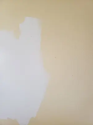 Bedroom Hue Swaps — House Painting Services project by Coastal Cottage Painting