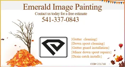 specialized contractor — House Painting Services project by Emerald Image Painting