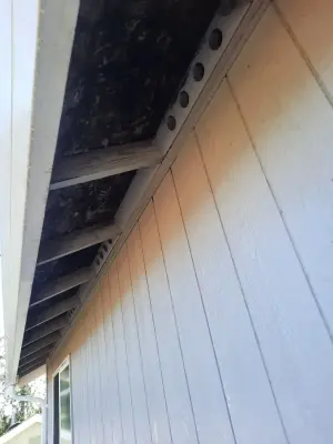 Looks Like New Painting LLC - Drywall Installation & Repair in Spanaway, WA