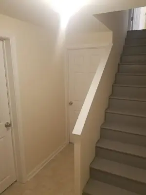 Revitalization Initiative — House Painting Services project by Glasgow Professional Painting