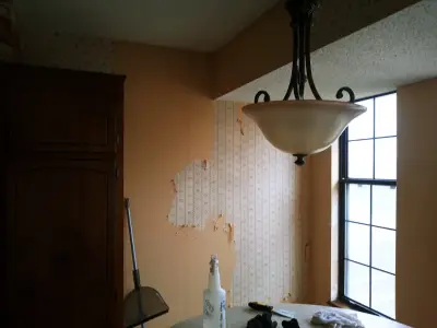 Mike Keylon Painting - Interior Design & Decorating in Mclouth, KS