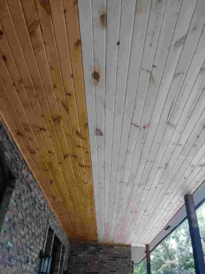Calumet Painting & Restoration - House Painting Services in Hammond, IN