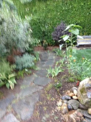 Gary's Greenery - Landscape Construction in Los Angeles, CA