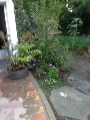 Gary's Greenery - Landscape Construction in Los Angeles, CA